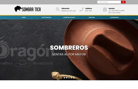Diseño web profesional
